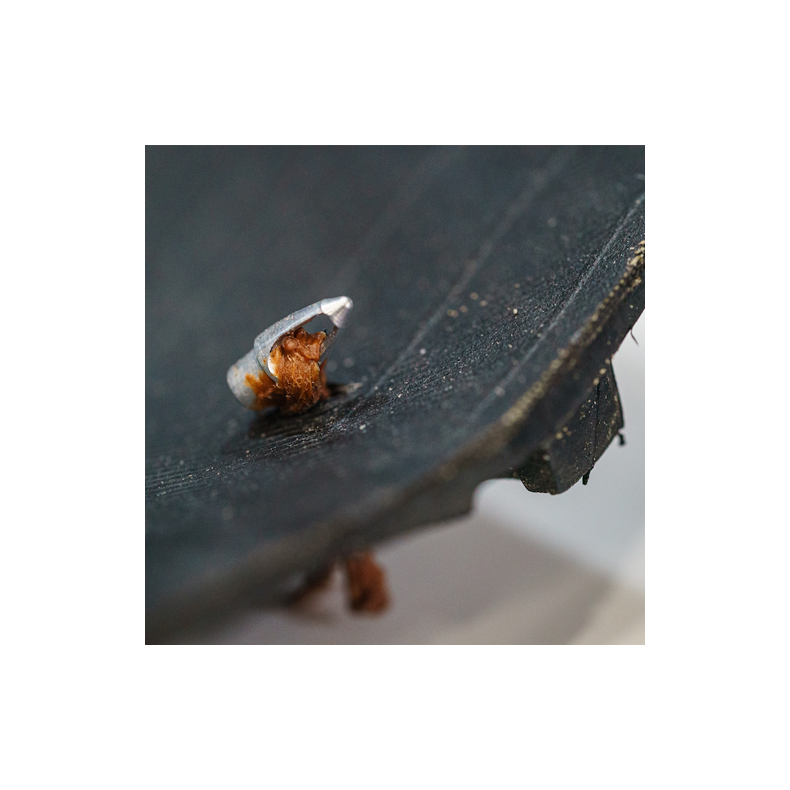 Clever Standard Tubeless plugs 10 stk med havplast anker