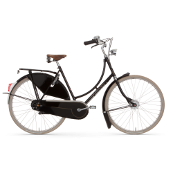 Gazelle Tour Populair C8