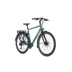 Gazelle Chamonix T20