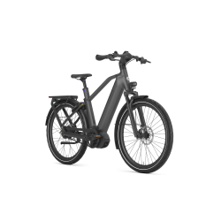 Gazelle Eclipse C380 HMB