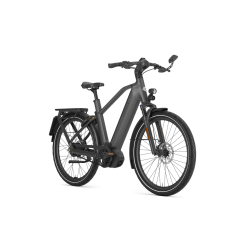 Gazelle Eclipse Speed