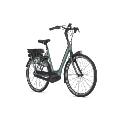 Gazelle Orange C8 HMB