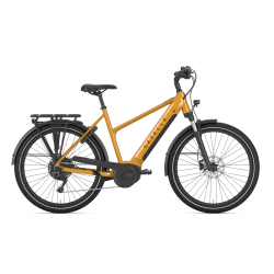 Gazelle Medeo T10 HMB