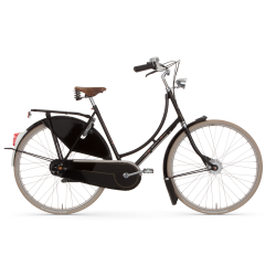 Gazelle Tour Populair C8