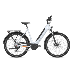 Gazelle Ultimate T10 HMB