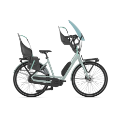 Gazelle Bloom C380 HMS