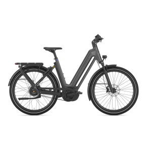 Gazelle Eclipse C380 HMB