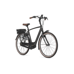 Gazelle Orange C8 HMB