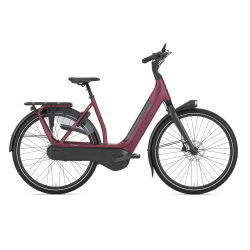 Gazelle Avignon C8 HMB