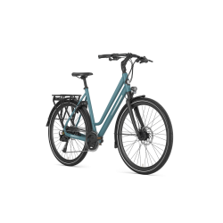 Gazelle Chamonix T20