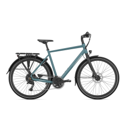 Gazelle Chamonix T20