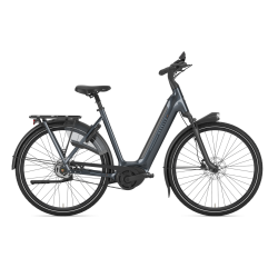 Gazelle Arroyo C5 HMB Elite