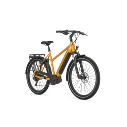 Gazelle Medeo T10 HMB