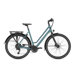 Gazelle Chamonix T20