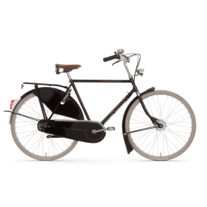 Gazelle Tour Populair C8