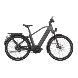 Gazelle Eclipse Speed