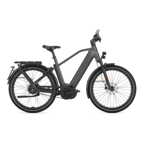 Gazelle Eclipse Speed