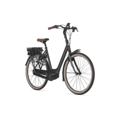 Gazelle Orange C8 HMB