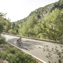 GripGrab Classic Low Cut Sommersokker 3-Pack