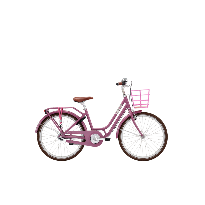 Norden Clara 24"