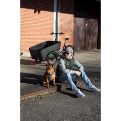Centurion E Street Trinl&oslash;s Enviolo Promovec 100Nm MatSort