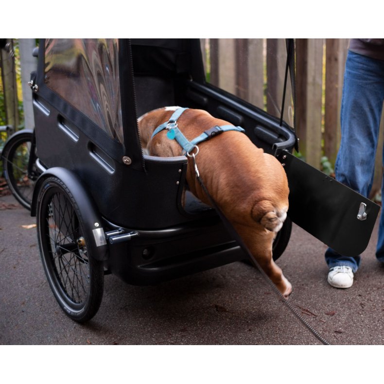 Black Iron Horse POLLY DOG