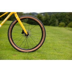 Superior F.L.Y. 24 8 Speed DISC