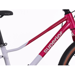 Superior F.L.Y. 24 8 Speed DISC