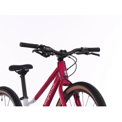Superior F.L.Y. 24 8 Speed DISC