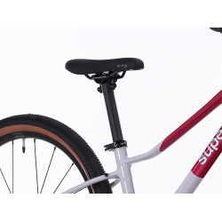 Superior F.L.Y. 24 8 Speed DISC