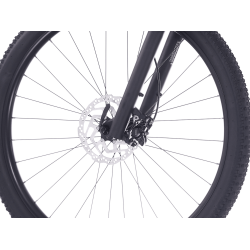 Rock Machine Blizz 20