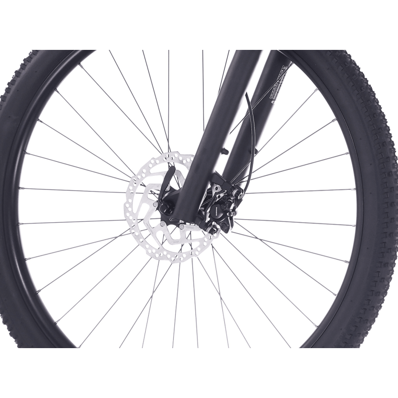 Rock Machine Blizz 20