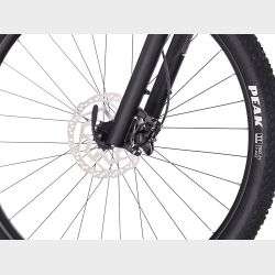 Rock Machine Blizz 10 29"