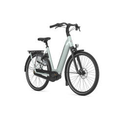 Gazelle-161544-ODM Arroyo C8 Elite Active Line Plus