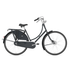 Gazelle Classic Nexus 3 Speed