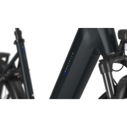 Gazelle Ultimate C380 Performance Line PX