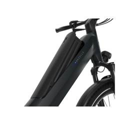 Gazelle Ultimate C380 Performance Line PX