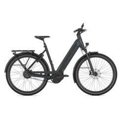 Gazelle Ultimate C380 Performance Line PX