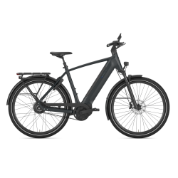 Gazelle Ultimate C380 Performance Line PX