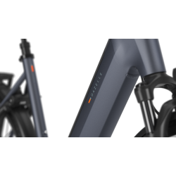 Gazelle Ultimate C5+ Performance Line