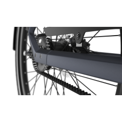 Gazelle Ultimate C5+ Performance Line