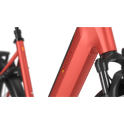 Gazelle Ultimate C5+ Performance Line