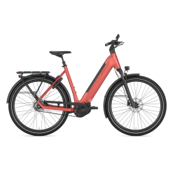 Gazelle Ultimate C5+ Performance Line