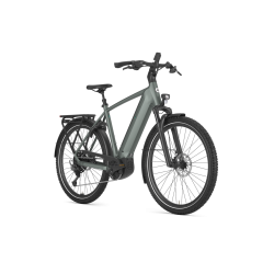 Gazelle Ultimate T11 Performance Line PX