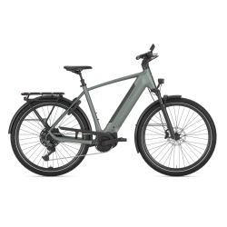 Gazelle Ultimate T11 Performance Line PX