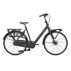 Gazelle Bloom Shimano Nexus 7 Speed