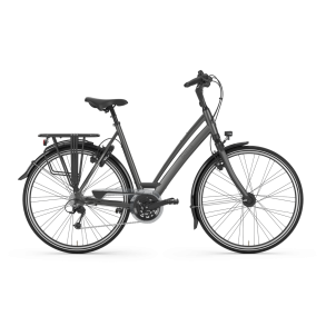 Gazelle Chamonix T30 L49 Desert titanium grey H30 (mat)