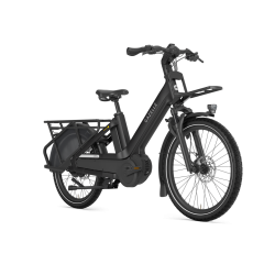 Gazelle Cabby C380 Performance Line CX