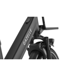 Gazelle Cabby C380 Performance Line CX