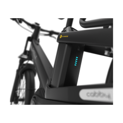 Gazelle Cabby C380 Performance Line CX